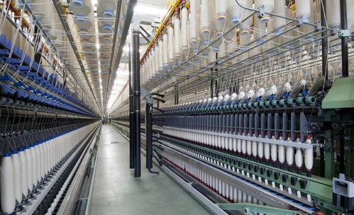 今年工業(yè)大麻真的火了,分享一份漢麻融資商業(yè)計(jì)劃書范文